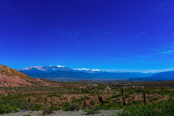 Fototapeta na wymiar A beautiful view of Los Cardones National Park, Salta, Argentina