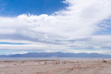 Desert view at Salton Sea recreation area