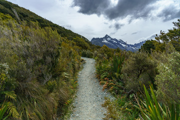 hiking the path, key summit track, southern alps, new zealand 1