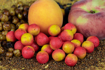 Kulki proteinowe - carp boilies