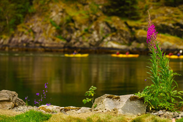 Fjord shore and people kayaking