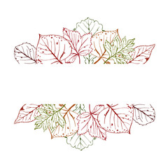 Vector illustration of autumn with frame for text. Hand drawn. Seasonal illustration with leafs.