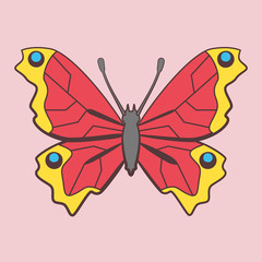 Colorful Butterfly logo isolated