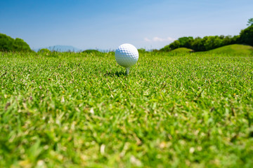 ゴルフボール ティーアップ