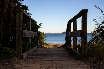 Entrance Stairs Down to New Zealand Beach