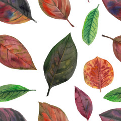 Obraz premium Seamless watercolor pattern. Hand painted leaves of different colors on a white background.