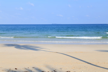 Fototapeta na wymiar Palm tree shadow on the beach/Coconut palm tree shadow on the beach/The beach and the sea very beaytiful/