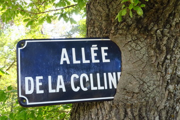 All&eacute;e de la colline. Panneau en t&ocirc;le &eacute;maill&eacute;e recouverte par la'&eacute;corce d'un arbre.
