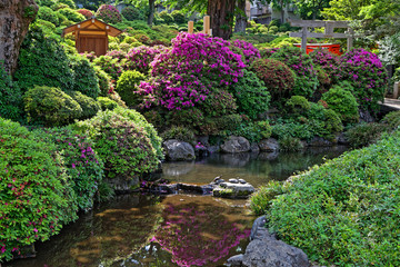 Fototapeta na wymiar Nezu temple park in Tokyo