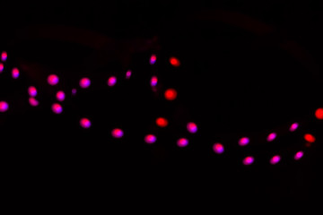 Duotone neon bokeh lights on black. Festive concept