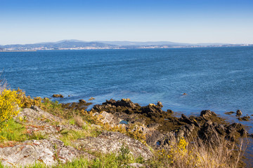Coastal rocks on Neixon point