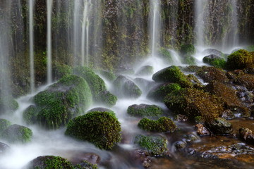 Fototapeta na wymiar 長野県 白糸の滝