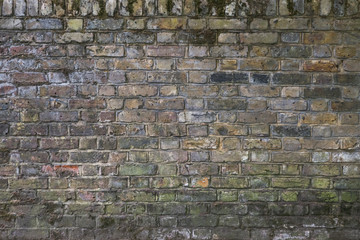 brick wall texture for background