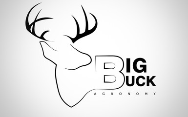 big buck