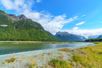 meadow with lupins on a river between mountains, new zealand 21