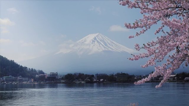 Mt. Fuji and cherry blossoms. Japanese spring landscape looking over the lake Kawaguchi at Yamanashi pref in Japan.