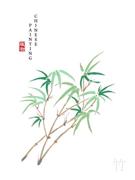 Watercolor Chinese ink paint art illustration nature plant from The Book of Songs bamboo. Translation for the Chinese word : Plant and bamboo