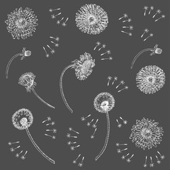 Dandelions Flowers Seamless Pattern.  Hand drawn sketches  - 274671421