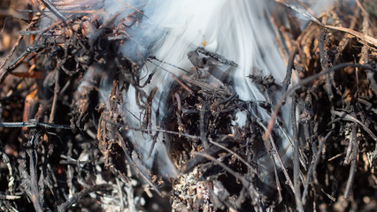 dry grass, and leaves burns in the garden. Fire and Smoke from during Burning of garden waste. Garbage in fire. Seasonal garden work and backyard clean up concept.