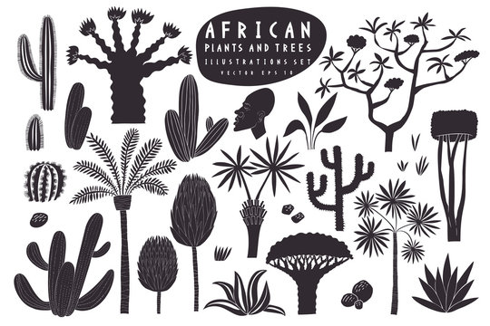 Fun hand drawn African plants illustration set. Cactuses, palms, exotic trees vector illustrations. Linocut style.