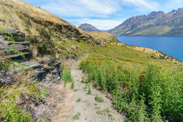 hiking jacks point track with view of lake wakatipu, queenstown, new zealand 47
