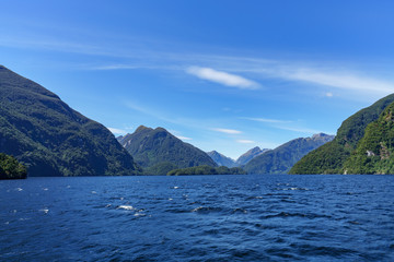 boat trip in the fjord, doubtful sound, fjordland, new zealand 10
