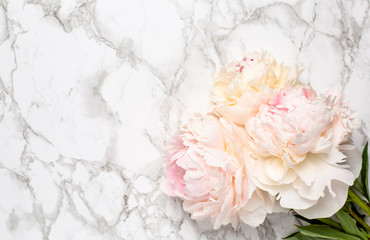 Beautiful white peony flower on marble background with copy space for your text