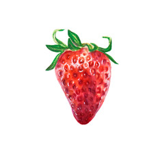 Watercolor sinle bright red juicy strawberry. Food background, painted bright composition. Hand drawn food illustration. Fruit print. Summer sweet fruits and berries.