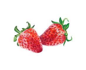 Watercolor two bright red juicy strawberries. Food background, painted bright composition. Hand drawn food illustration. Fruit print. Summer sweet fruits and berries.
