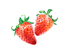 Watercolor two bright red juicy strawberries. Food background, painted bright composition. Hand drawn food illustration. Fruit print. Summer sweet fruits and berries.