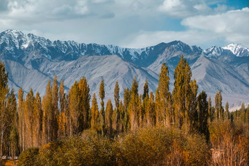 Autumn landscape in Leh Ladakh Region, India