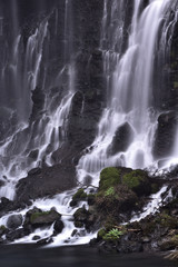 Fototapeta na wymiar 静岡県　白糸の滝 waterfall