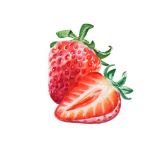 Watercolor red juicy strawberry with half berry. Food background, painted bright composition. Hand drawn food illustration. Fruit print. Summer sweet fruits and berries. - 274676678