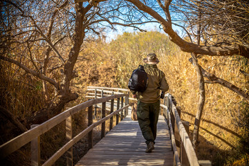 hiking into the woods in summer time