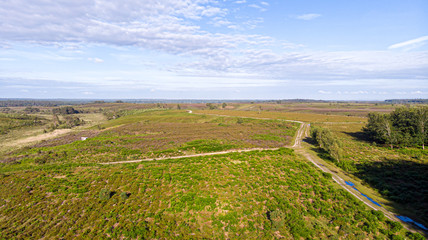 Aerial view of the New Forest National Park with heathland, forest and trail path under a majestic blue sky and some white clouds