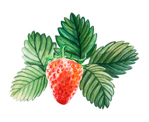 Watercolor red juicy strawberry with leaves. Food background, painted bright composition. Hand drawn food illustration. Fruit print. Summer sweet fruits and berries. - 274678235