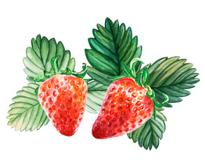 Watercolor red juicy strawberries with leaves . Food background, painted bright composition. Hand drawn food illustration. Fruit print. Summer sweet fruits and berries.