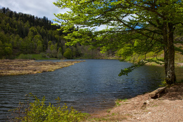 Nonnenmattweiher_8739