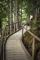 Nice wooden path of Aigüestortes i Estany de Sant Maurici National Park in a Spanish Pyrenees...