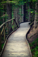 Nice wooden path of Aigüestortes i Estany de Sant Maurici National Park in a Spanish Pyrenees mountain