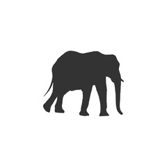 Fototapeta premium Big Elephant isolated on white background. Vector illustration, animal silhouette.