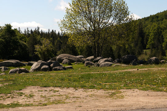 Paysage rocailleux