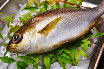 関いさき入荷しました