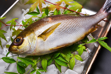 関いさき入荷しました