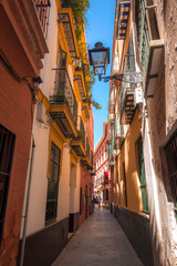 Fototapeta na wymiar Calles del barrio de Santa Cruz en Sevilla