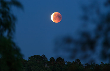 a part of the blood moon