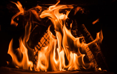 bonfire. the fire