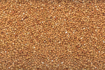 buckwheat. healthy food. background buckwheat.