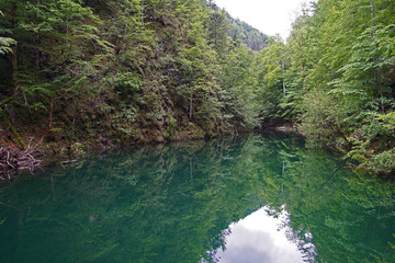 Seelandschaft im Mendlingtal - Österreich