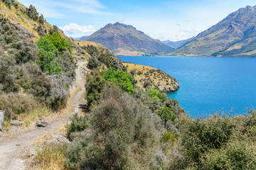 hiking jacks point track with view of lake wakatipu, queenstown, new zealand 70